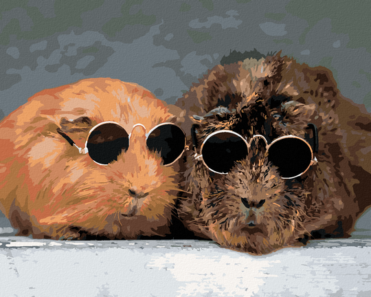 Diamond painting - MEERSCHWEINCHEN BEIM SONNEN