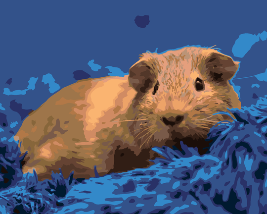 Malen nach Zahlen - MEERSCHWEINCHEN AUF EINEM BLAUEN TEPPICH