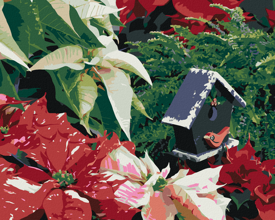 Diamond painting - WEIHNACHTSROSEN (DENNIS FRATES)