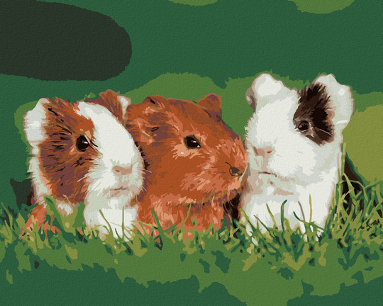 Diamond painting - MEERSCHWEINCHEN AUF DEM GRAS