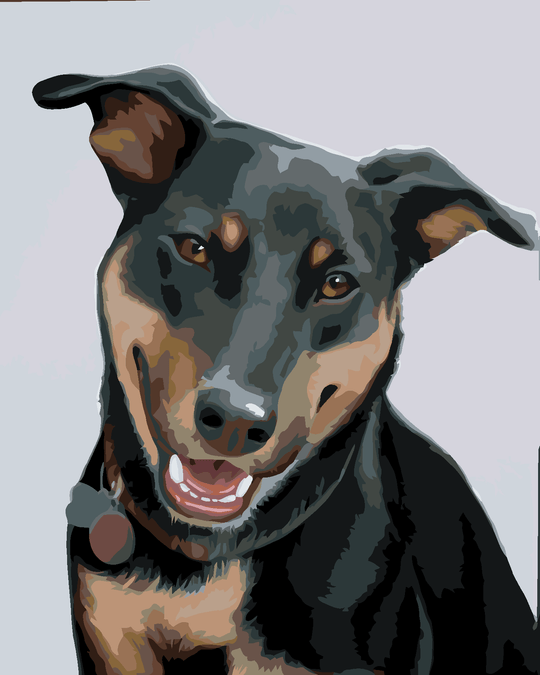 Malen nach Zahlen - ROTTWEILER 2 (MYROSLAVA VOLOSCHUK)