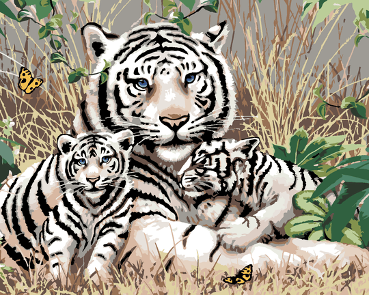Malen nach Zahlen - WEISSER TIGER UND JUNGTIERE IM GRAS (HOWARD ROBINSON)