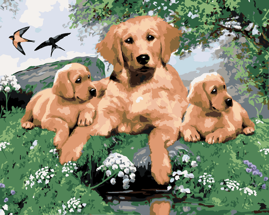 Malen nach Zahlen - GOLDEN RETRIEVER UND WELPEN (HOWARD ROBINSON)