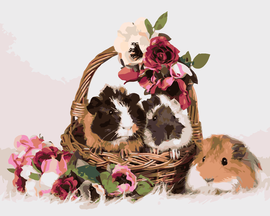 Malen nach Zahlen - MEERSCHWEINCHEN IN DEM BLUMENKORB