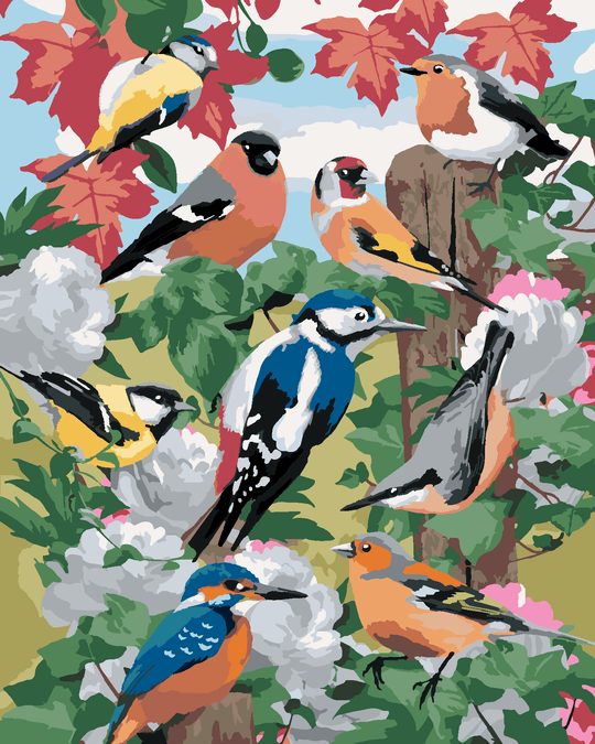 Malen nach Zahlen - VÖGEL UND WEISSE BLUMEN (HOWARD ROBINSON)
