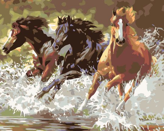Malen nach Zahlen - PFERDE