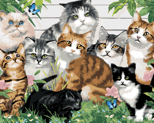 Malen nach Zahlen - BUNTE KATZEN VOR DEM HAUS (HOWARD ROBINSON)