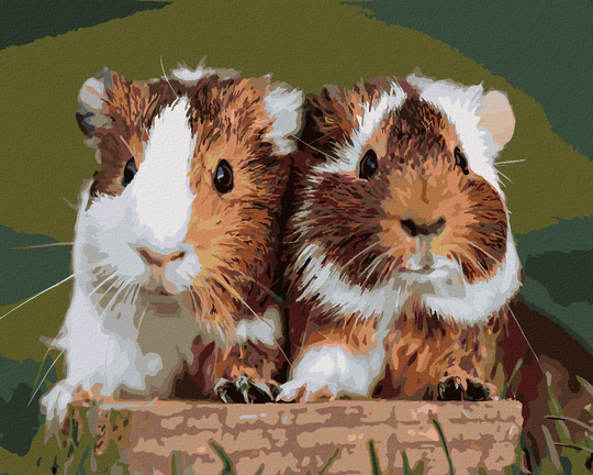 Diamond painting - ZWEI LIEBEVOLLE MEERSCHWEINCHEN
