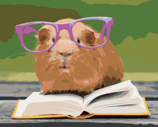 Diamond painting - MEERSCHWEINCHEN MIT BRILLE LIEST EIN BUCH