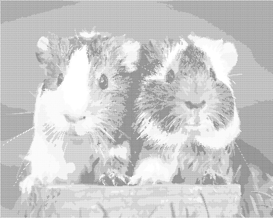 Punktmalerei - ZWEI LIEBEVOLLE MEERSCHWEINCHEN