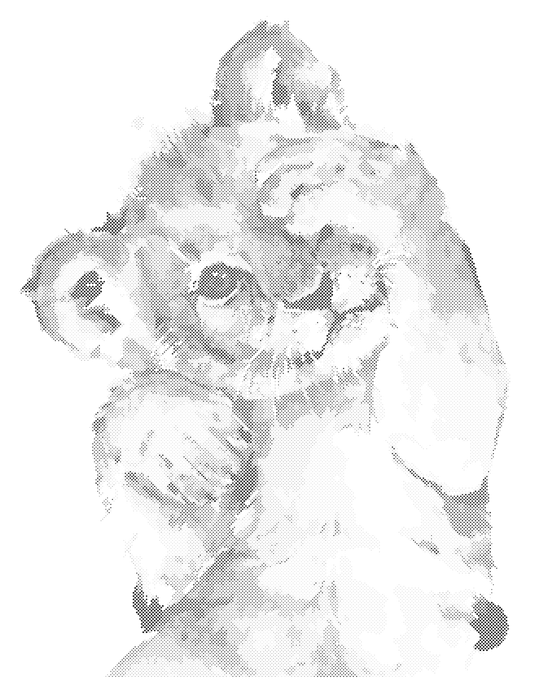 Punktmalerei - SCHÜCHTERNES LÖWENBABY