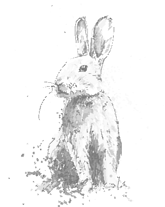 Punktmalerei - BUNTES KANINCHEN