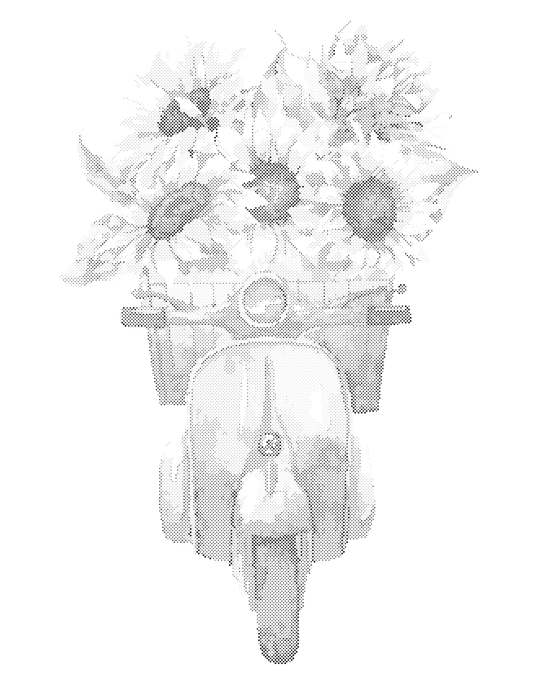 Punktmalerei - MOTORROLLER VOLLER SONNENBLUMEN