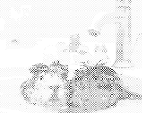 Punktmalerei - MEERSCHWEINCHEN IM WASSER