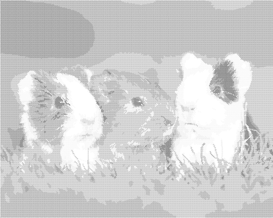 Punktmalerei - MEERSCHWEINCHEN AUF DEM GRAS