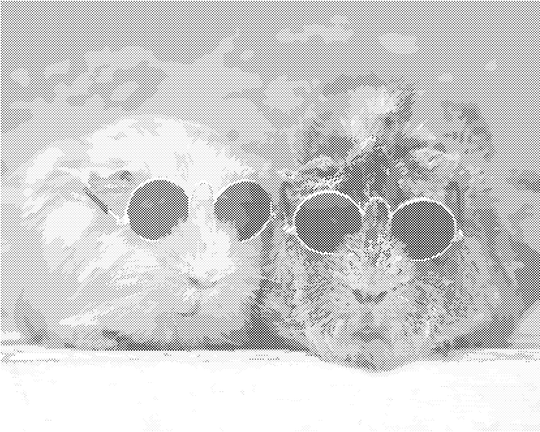 Punktmalerei - MEERSCHWEINCHEN BEIM SONNEN