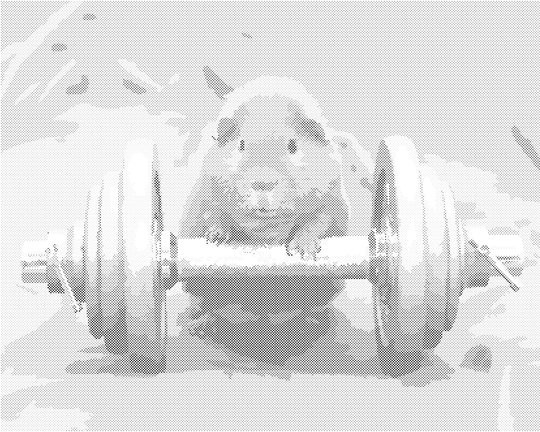 Punktmalerei - MEERSCHWEINCHEN IM FITNESSCENTER