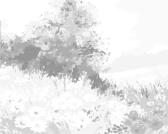 Punktmalerei - EIN FELD VOLLER MARGERITEN