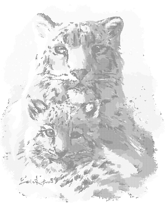 Punktmalerei - WEIßE TIGERIN MIT JUNGEN