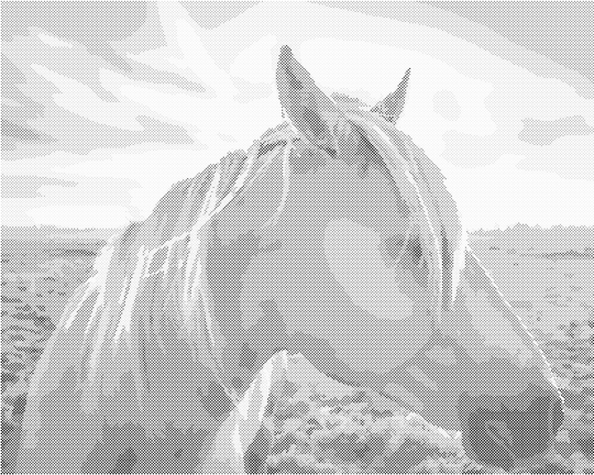 Punktmalerei - PFERD BEI SONNENUNTERGANG