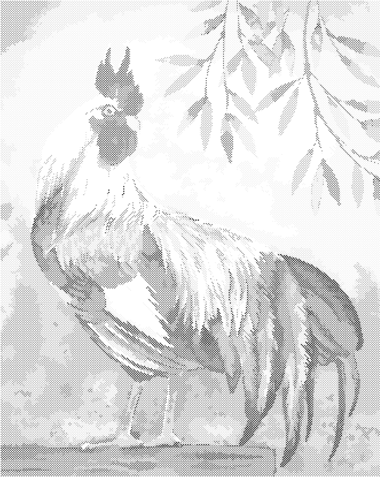 Punktmalerei - BUNTER HAHN