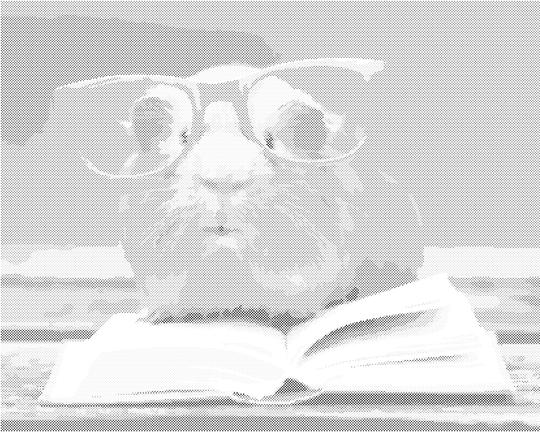 Punktmalerei - MEERSCHWEINCHEN MIT BRILLE LIEST EIN BUCH
